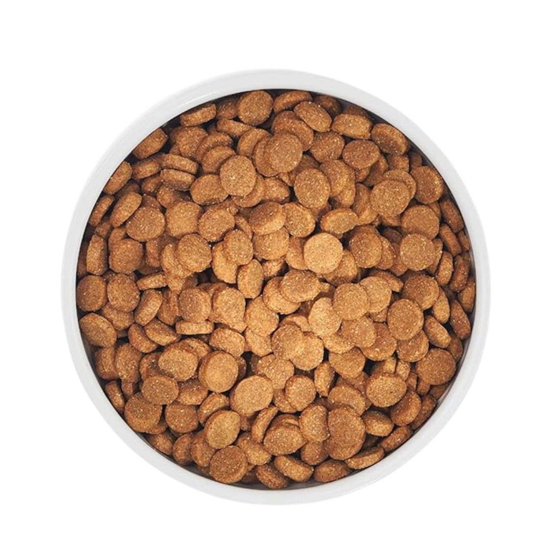 Zignature 5.7kg Turkey Formula Dry Dog Food image 3