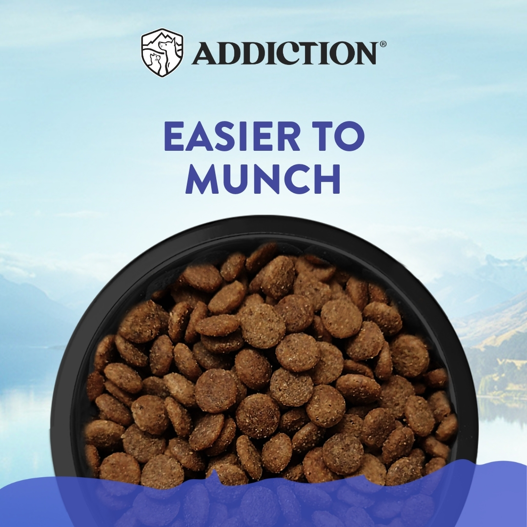 Addiction Dog 1.5kg Small Breed Duck Royale Entree Dry Dog Food (EXP: 26 Jan 2027) image 5