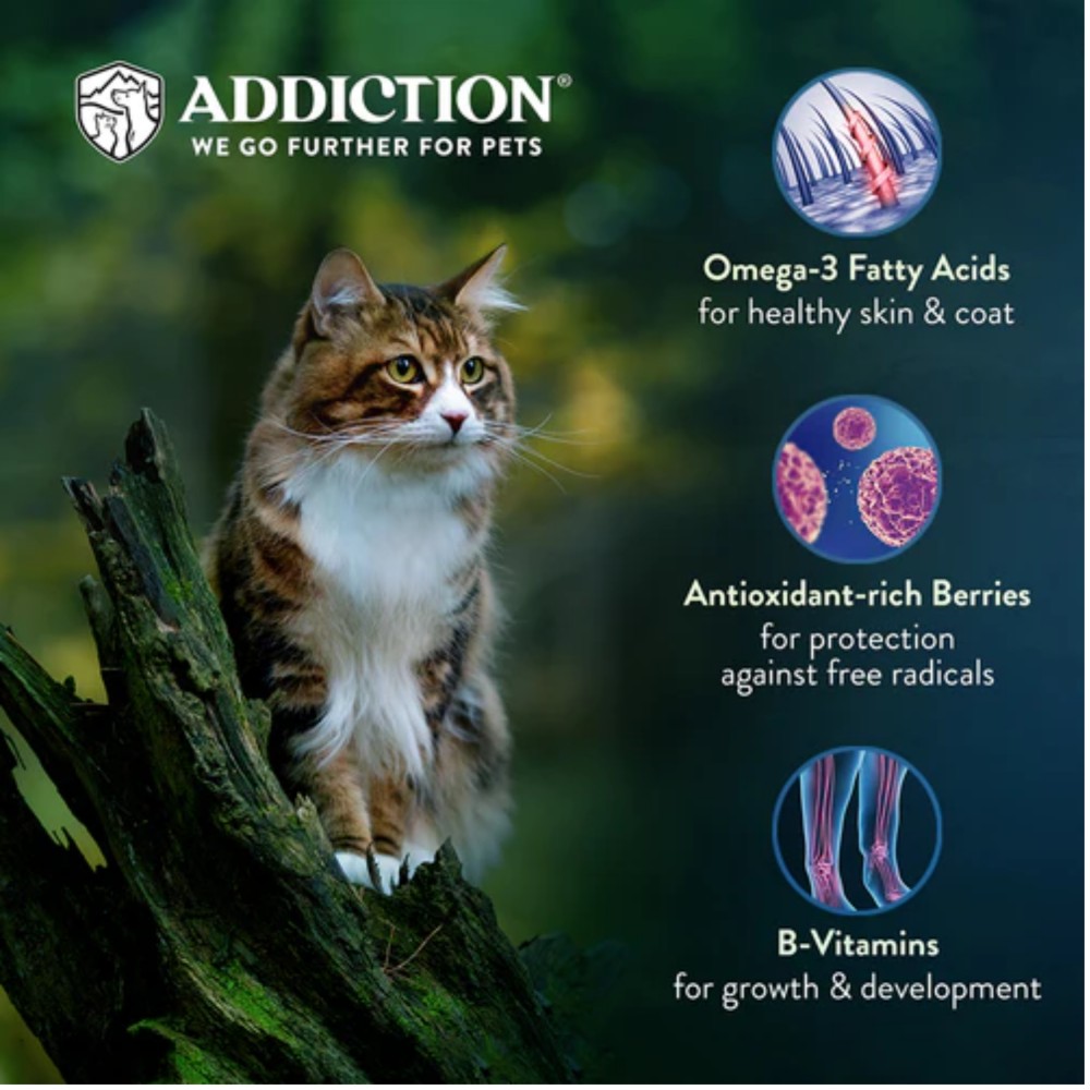Addiction Cat Grain Free 10lbs Salmon Bleu Dry Cat Food image 3