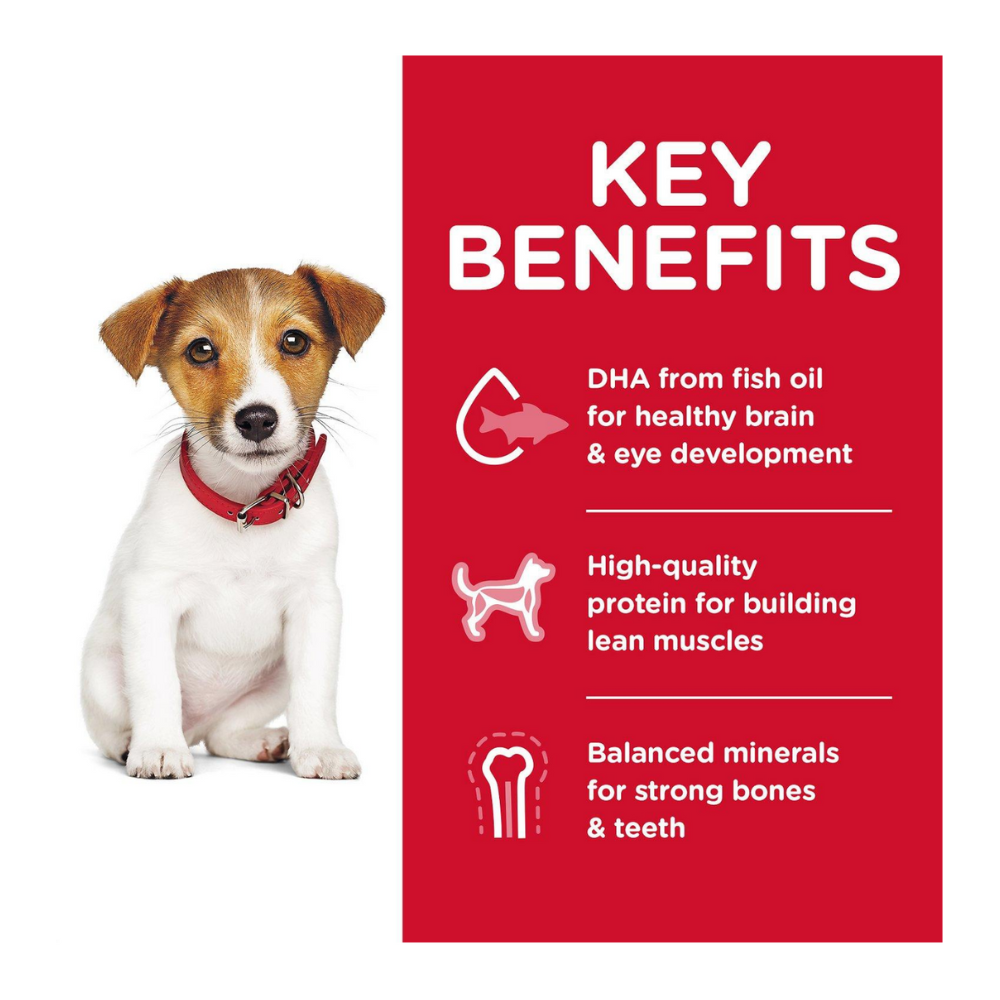 Hill's Science Diet Puppy Healthy Development Small Bites Dog Dry Food 12kg image 4