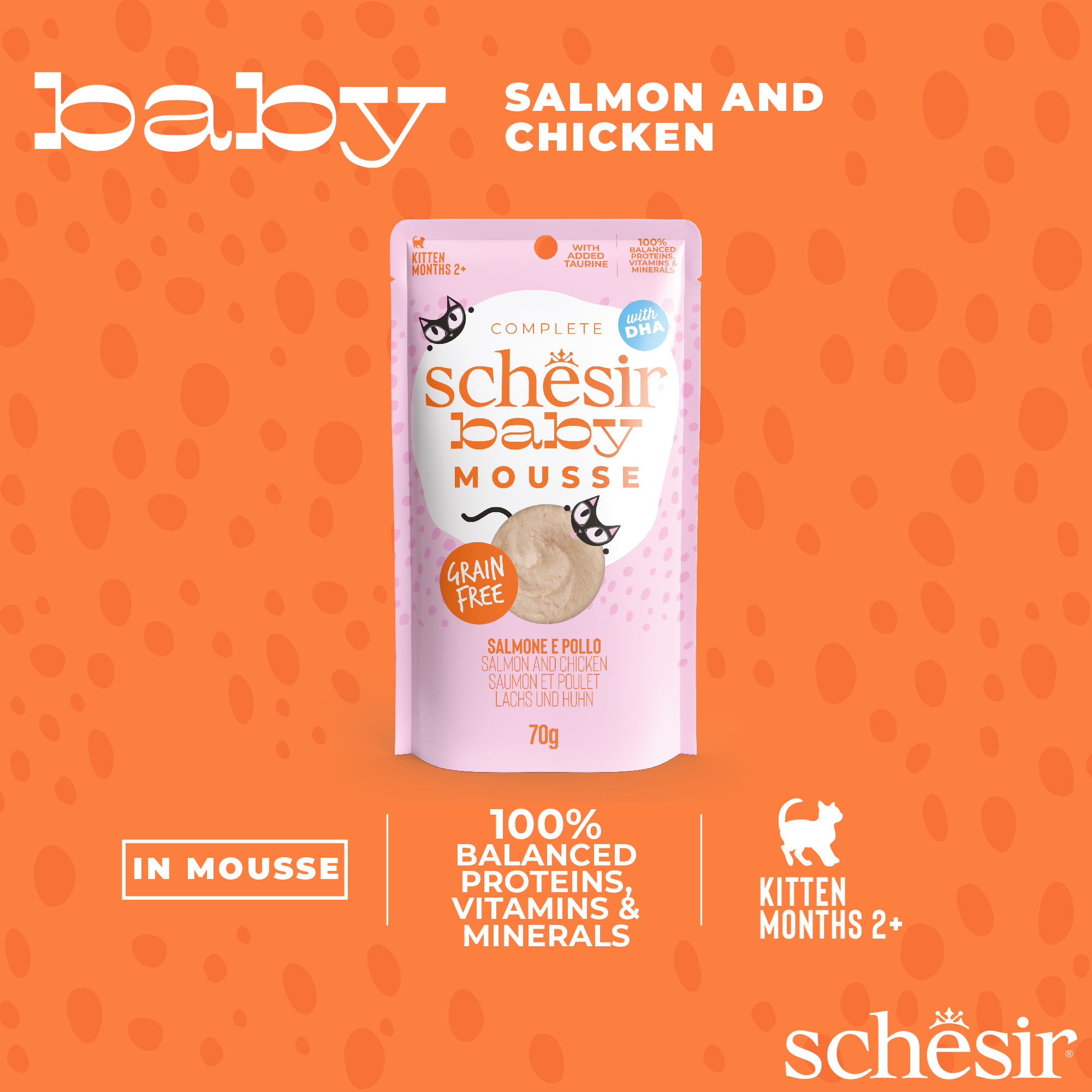 Schesir Cat Baby Velvet Mousse 70g Salmon and Chicken Wet Cat Food image 4