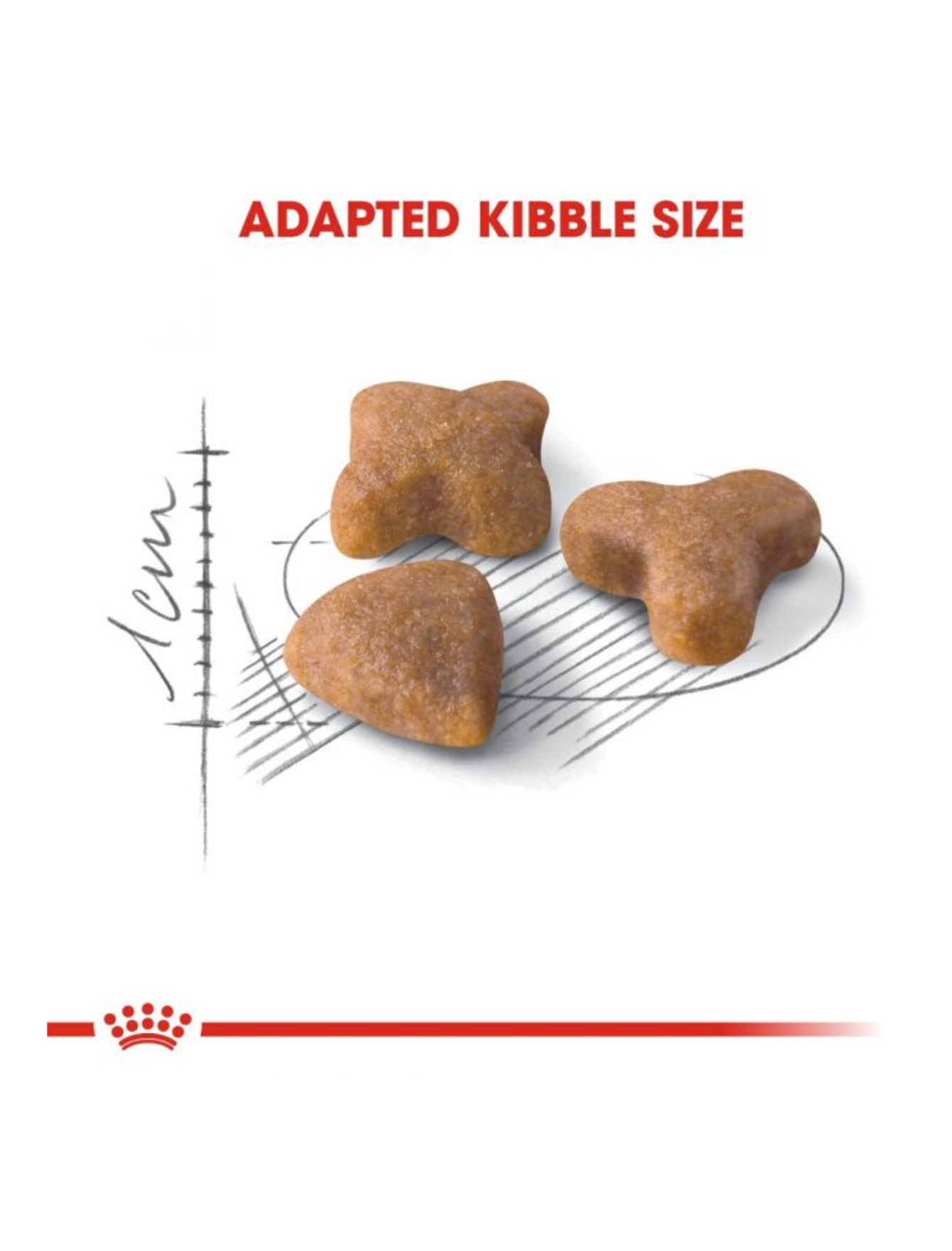 Royal Canin Cat 400g Sensible 33 Dry Cat Food image 4