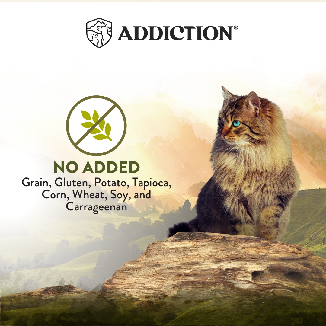 Addiction Cat Wild Islands 185g Highland Meat Grain Free Wet Canned Cat Food image 6