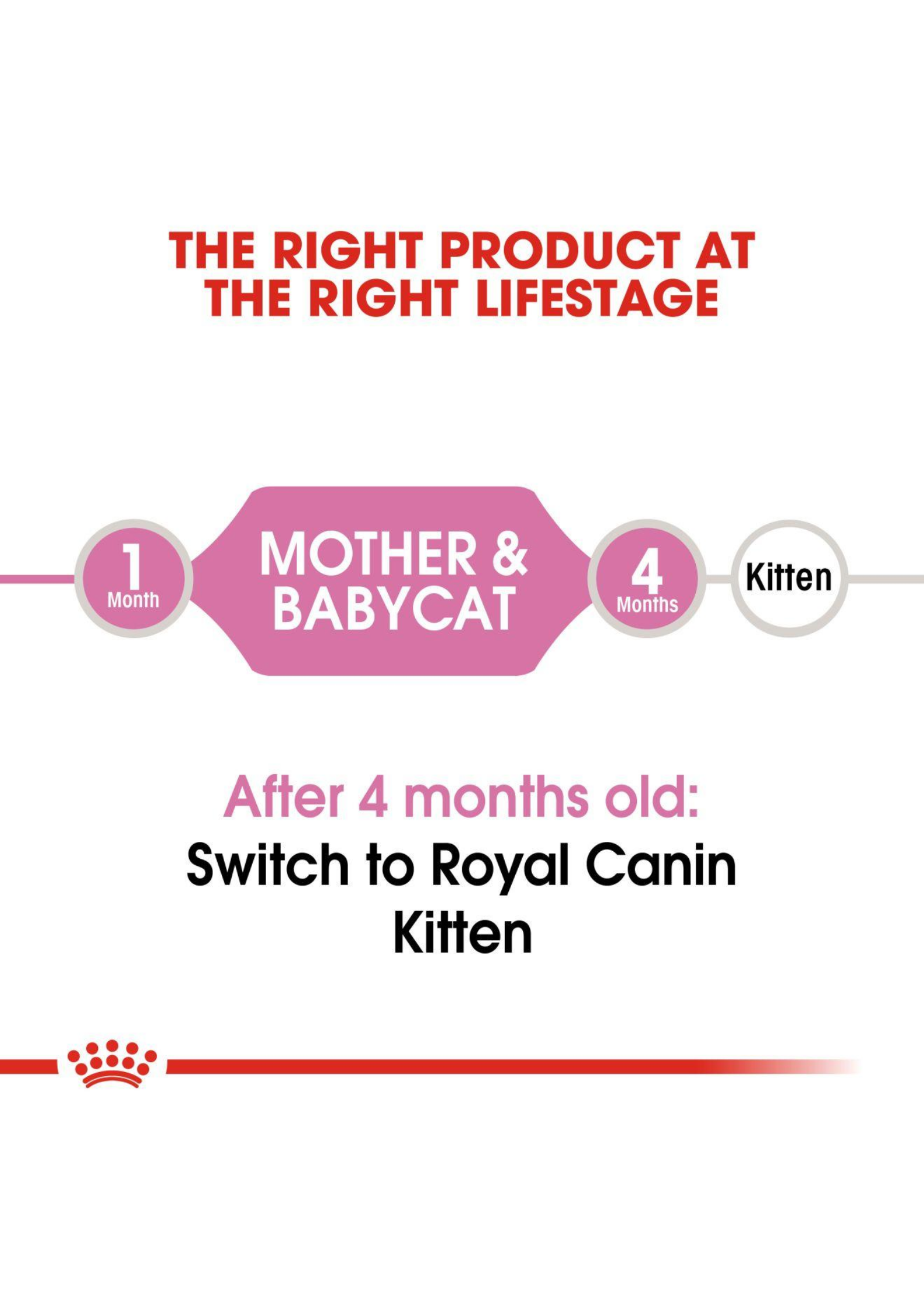 Royal Canin Cat 4kg Mother & Babycat Dry Cat Food image 5