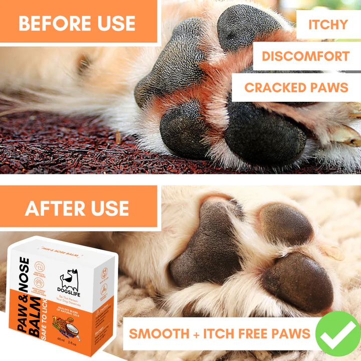 Dogslife Nose & Paw Balm & Moisturiser 60ml image 8