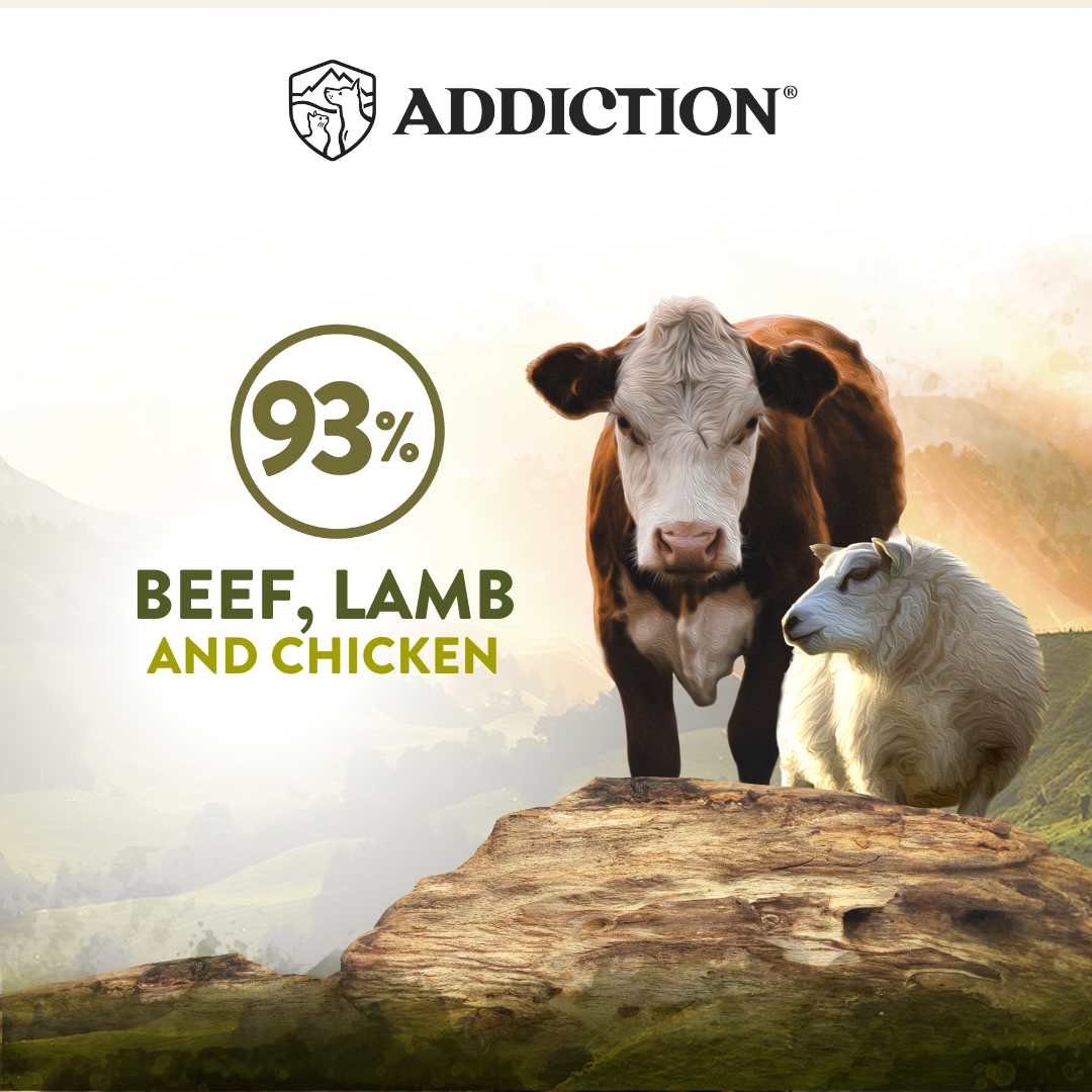 Addiction Cat Wild Islands 185g Highland Meat Grain Free Wet Canned Cat Food image 7