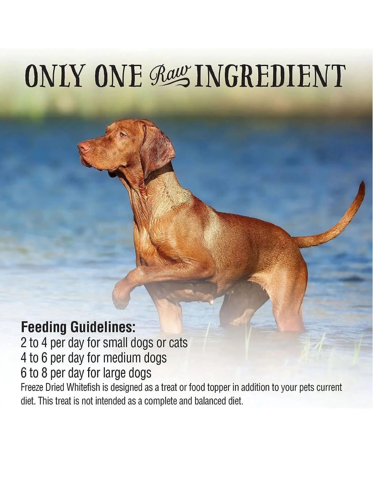 Northwest Naturals Raw Rewards 10oz Freeze Dried Whitefish Treats for Dogs & Cats image 5