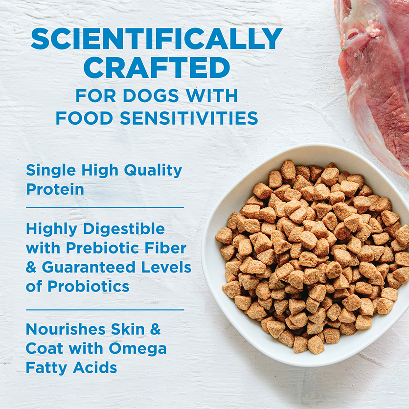 Wellness Dog 2.2kg (4lb) Simple Small Breed Salmon & Potato Formula Dry Dog Food image 2