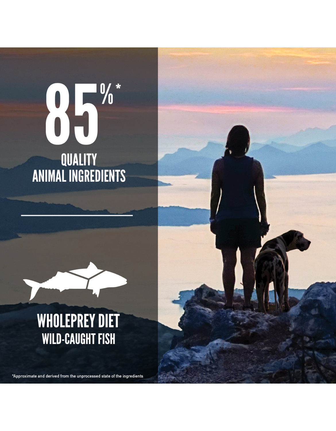 Orijen Dog 2kg Six Fish Dry Dog Food image 3