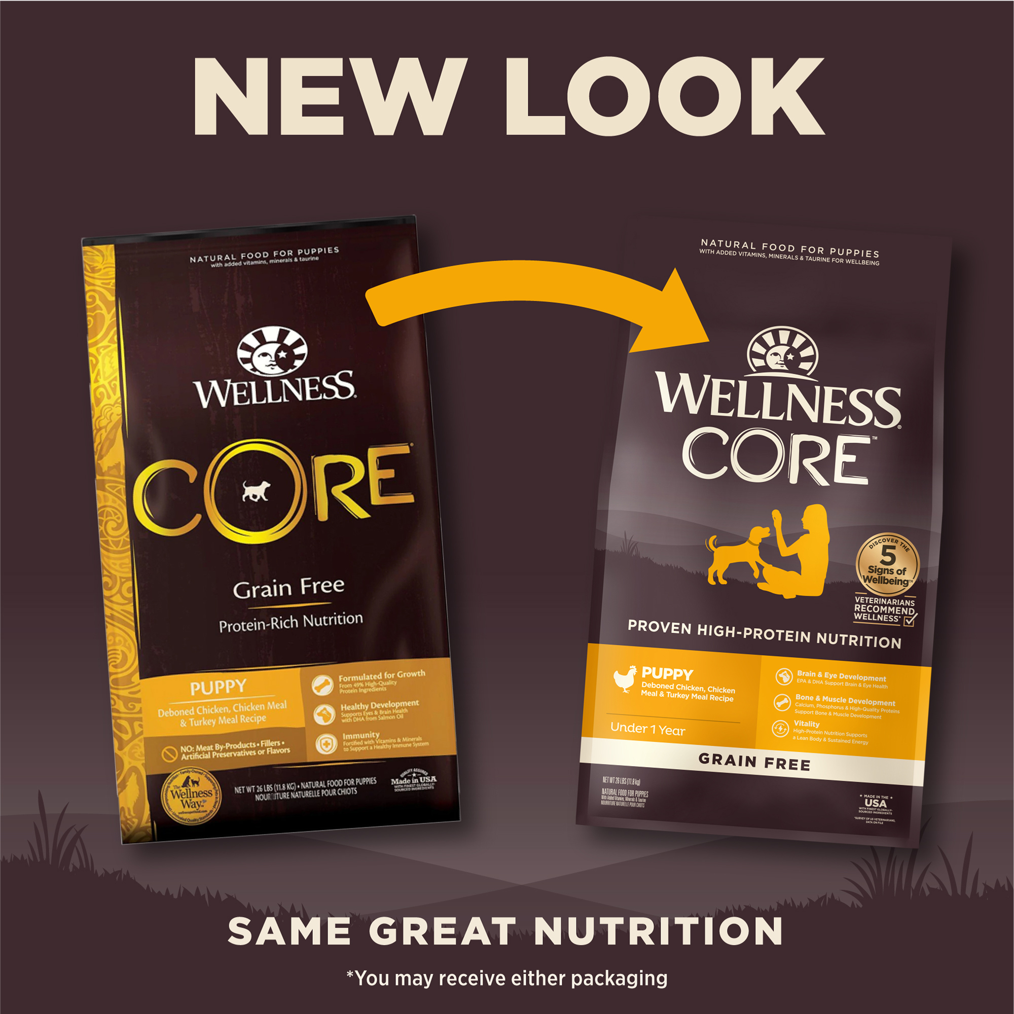 Wellness CORE Dog 5.4kg (12lb) Puppy Grain Free Dry Dog Food image 4