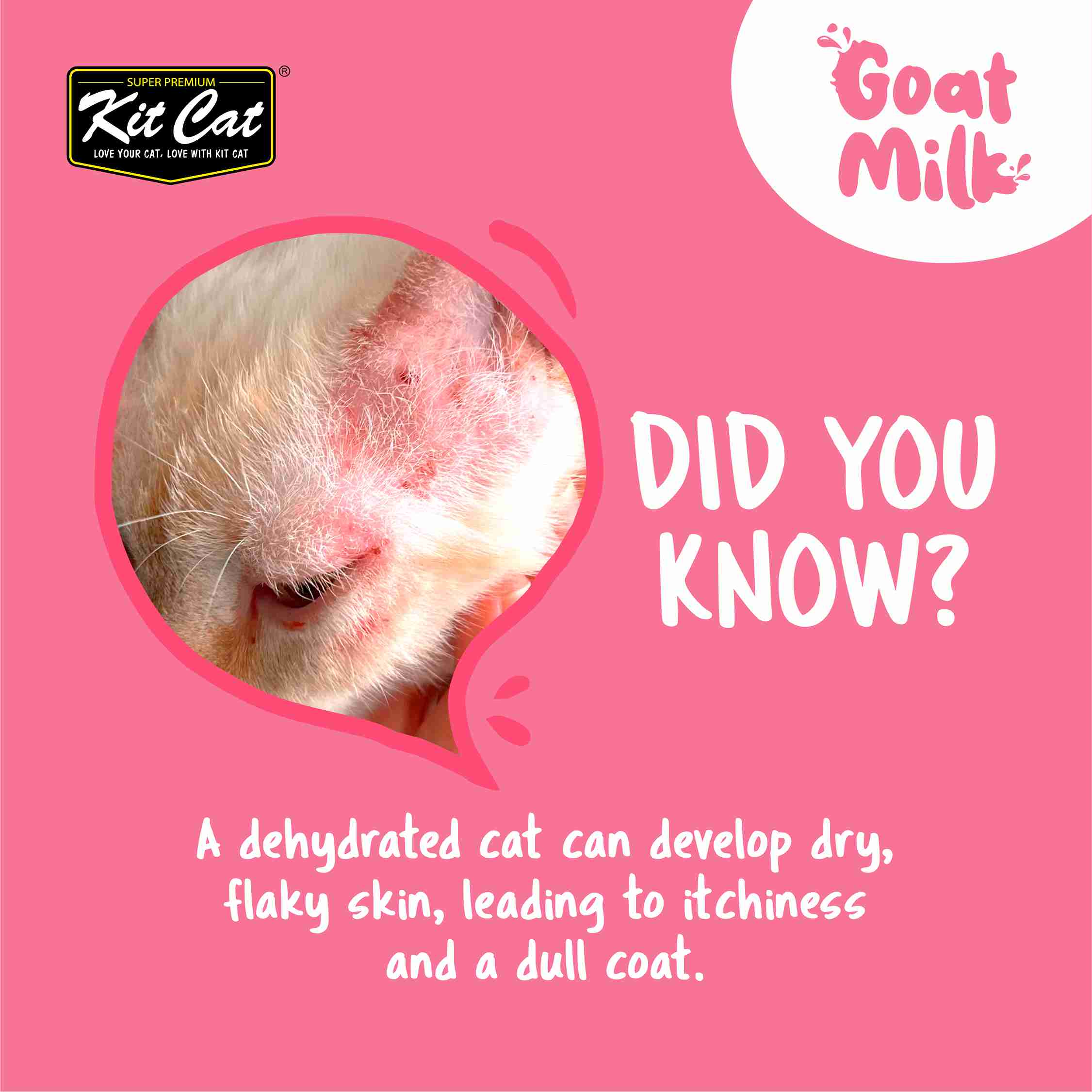 Kit Cat 50ml*6 Lactose-Free Goat Milk Pouches for Kittens image 3