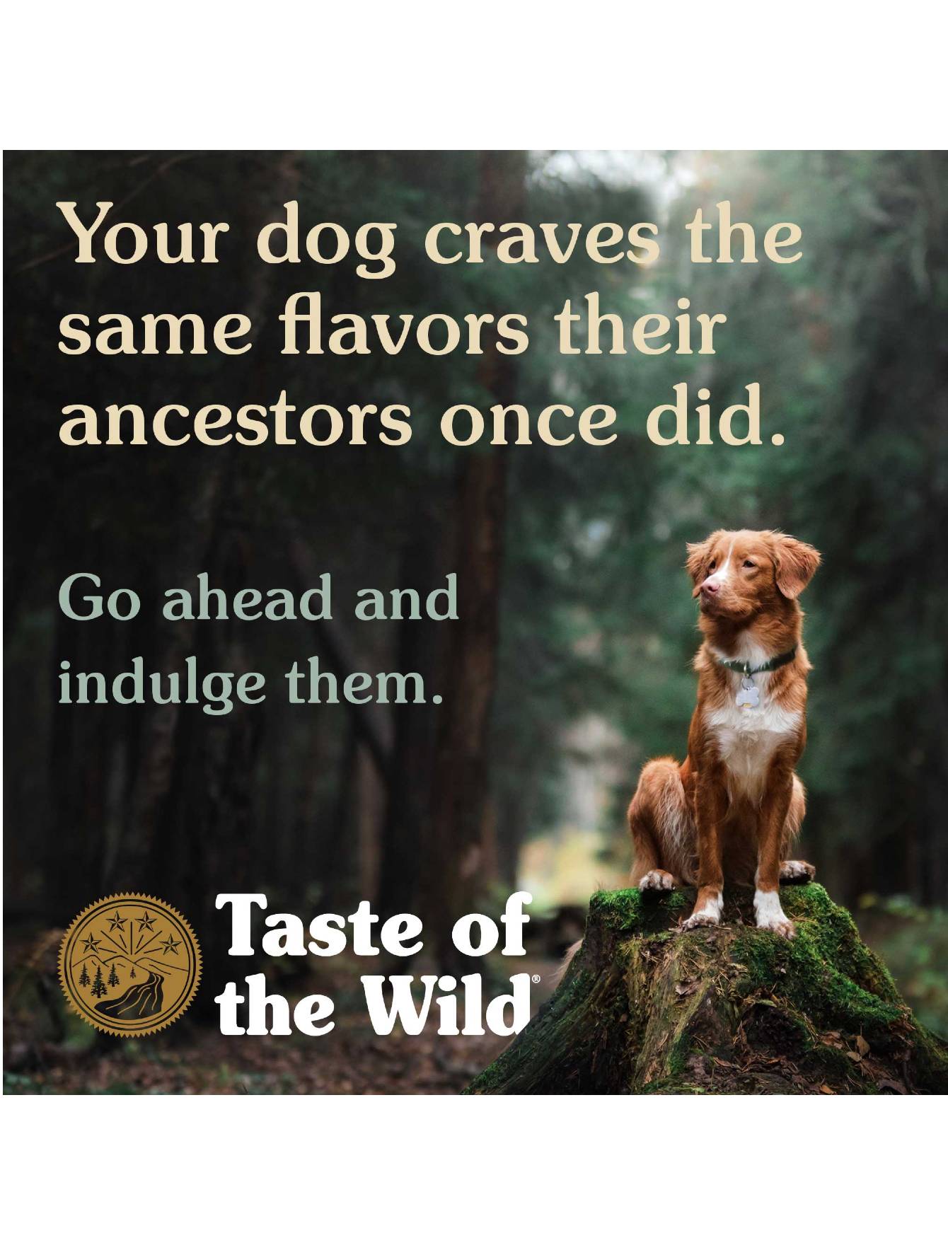 Taste of the Wild Dog 12.2kg Pine Forest Canine Dry Dog Food image 5
