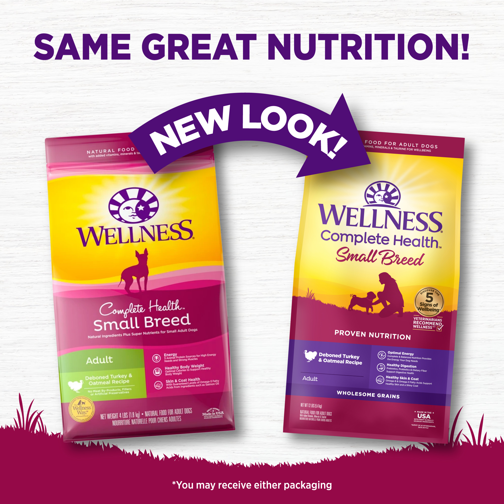 Wellness Complete Health 12lb (5.4kg) Small Breed Deboned Turkey & Oatmeal Dry Dog Food image 4