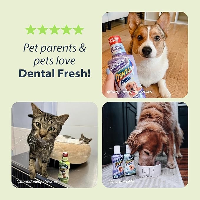 Dental Fresh Water Additive Original Formula For Cats 236ml image 5