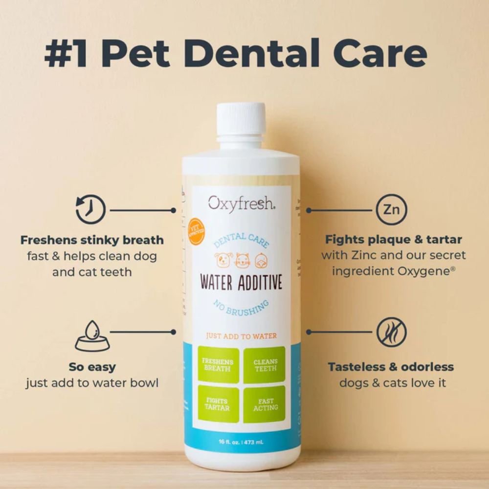 Oxyfresh 473ml (16oz) Dental Care Water Additive for Dogs & Cats image 2