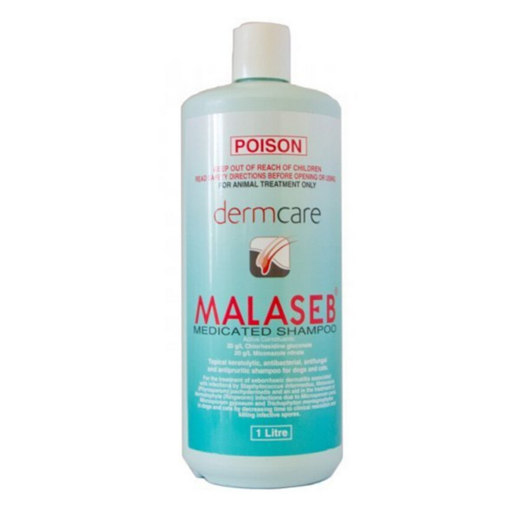 Dermcare Malaseb 1L Medicated Shampoo image 2