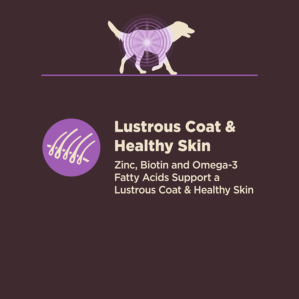 Wellness CORE Dog 1.8kg (4lb) Digestive Health Age Advantage Chicken & Brown Rice Dry Dog Food image 5