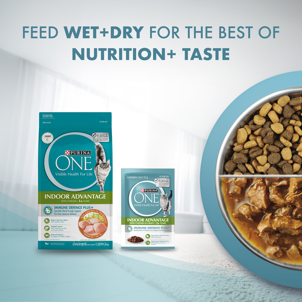 PURINA ONE Cat 1.2kg Indoor Advantage Chicken Dry Cat Food image 11