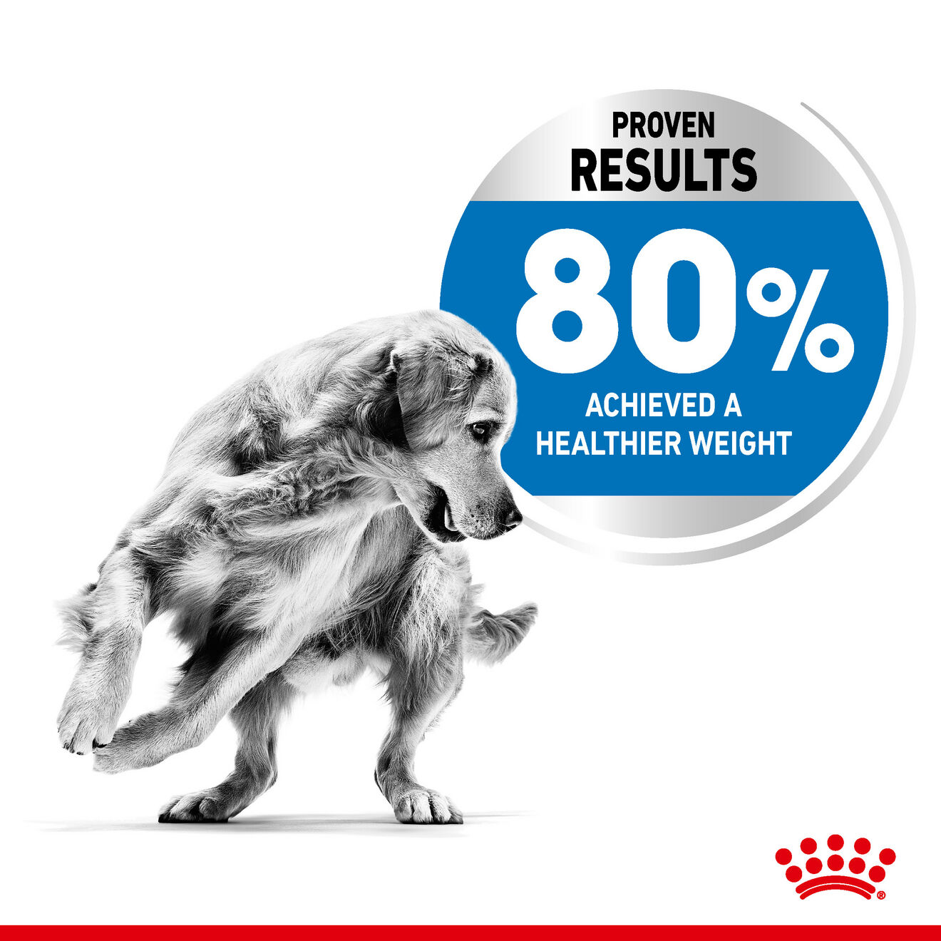 Royal Canin Dog 3kg Light Weight Care Dry Dog Food image 2