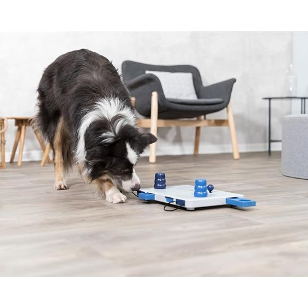 Trixie Move2Win Strategy Game for Dogs image 2
