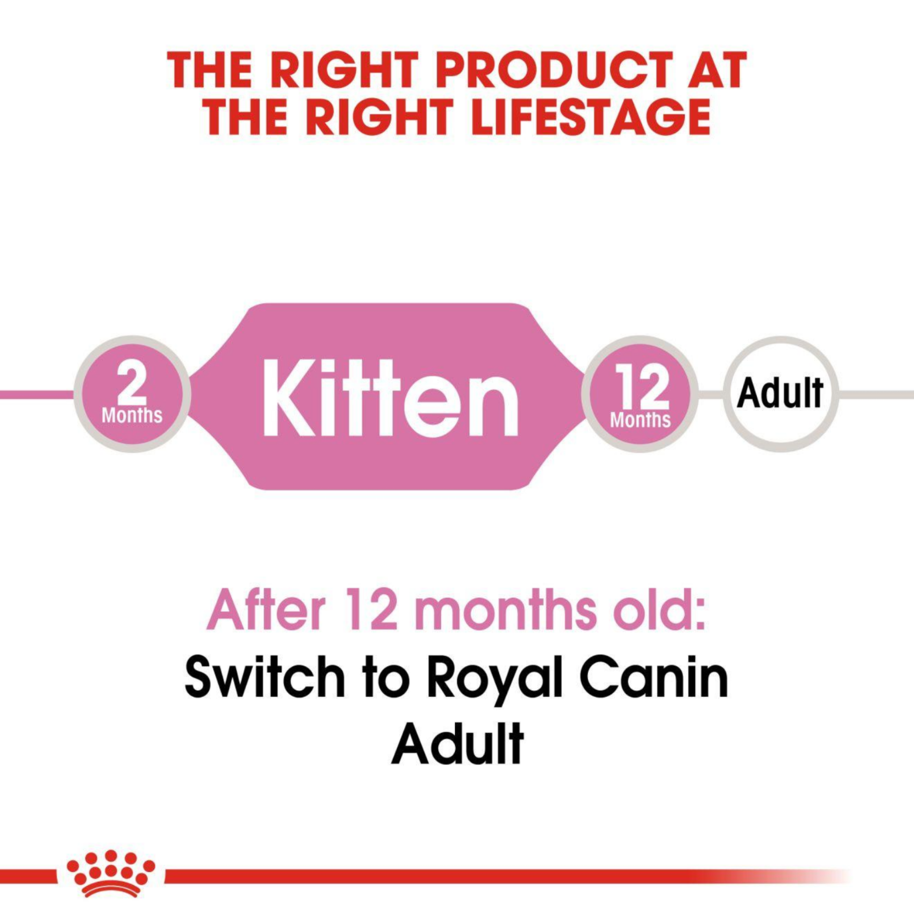Royal Canin Cat 10kg Kitten Dry Cat Food image 4