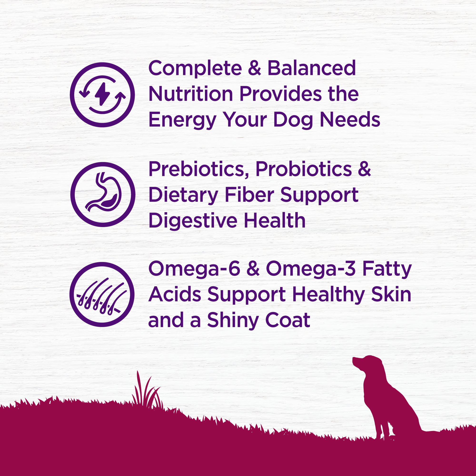 Wellness Complete Health Grain Free 4lb (1.8kg) Small Breed Deboned Turkey, Chicken Meal & Salmon Meal Dry Dog Food image 4
