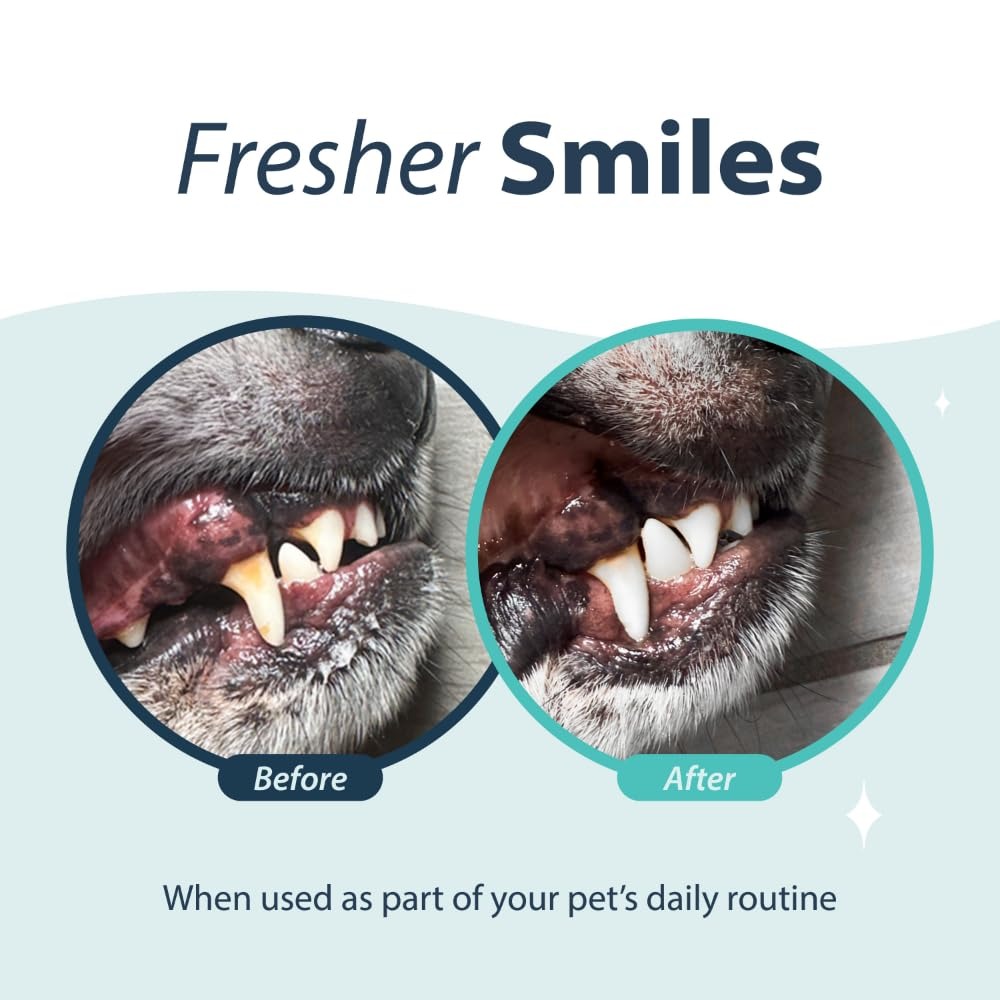 Dental Fresh Water Additive Original Formula For Dogs 236ml image 3