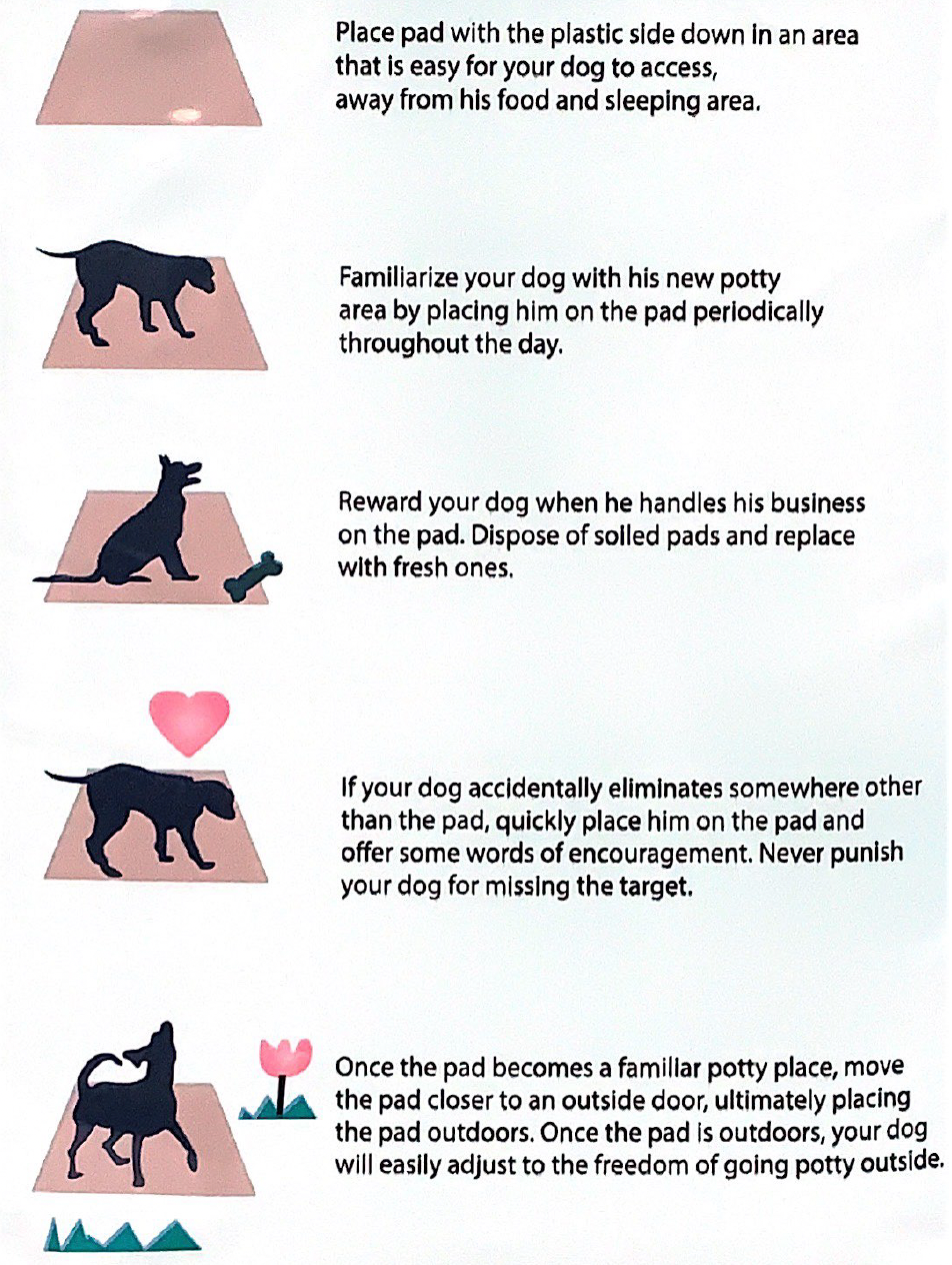 Super Dry Ultra Absorbent Dogs Pee Pad 50pcs M | 50 pcs image 2
