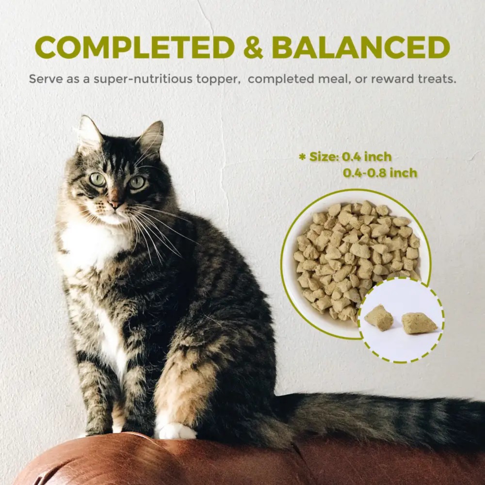 Furry Wonder SENSITIVE DIGESTION Freeze-dried Raw Lamb & Chicken Recipe For Cats 16oz (453g) image 4