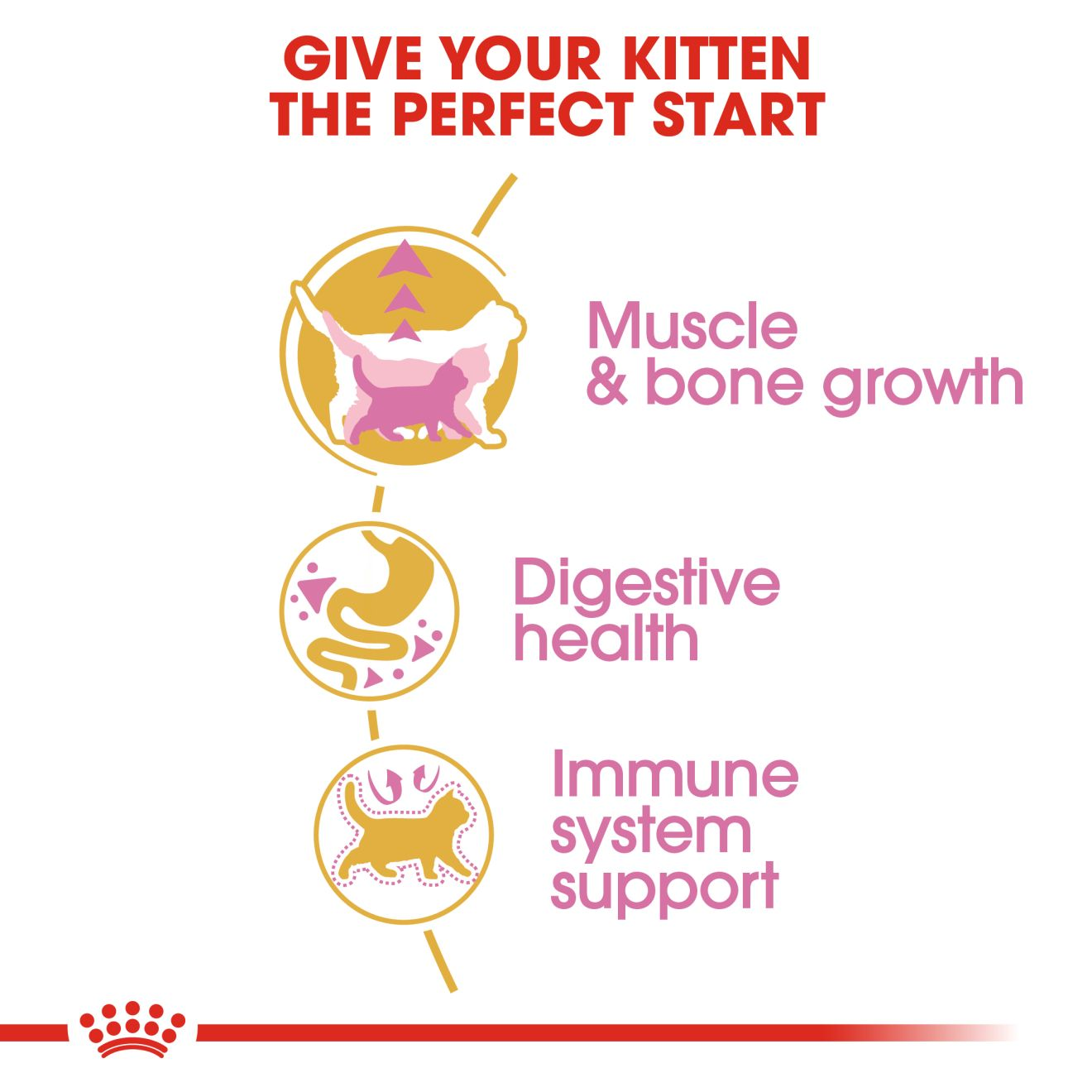 Royal Canin Cat 400g Kitten British Shorthair Dry Cat Food image 4