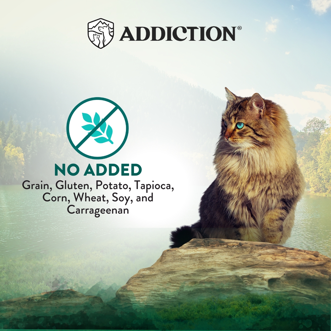 Addiction Cat Wild Islands 185g Island Birds Grain Free Wet Canned Cat Food image 4