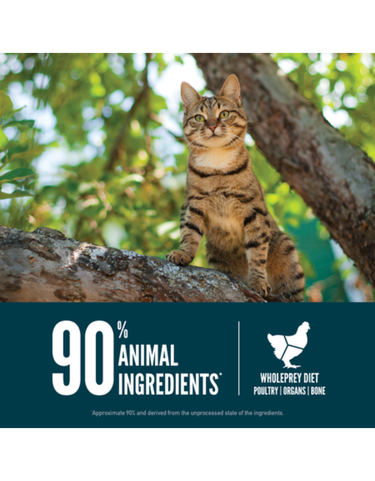 Orijen Cat 1.8kg Guardian 8 Dry Cat Food image 3