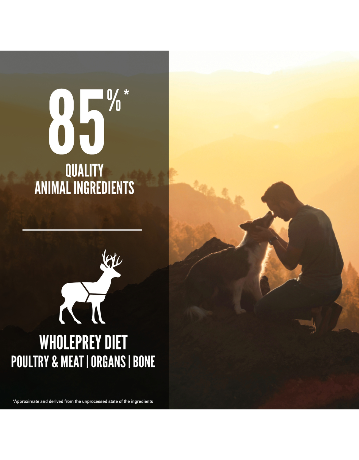 Orijen Dog 2kg Tundra Dry Dog Food image 3