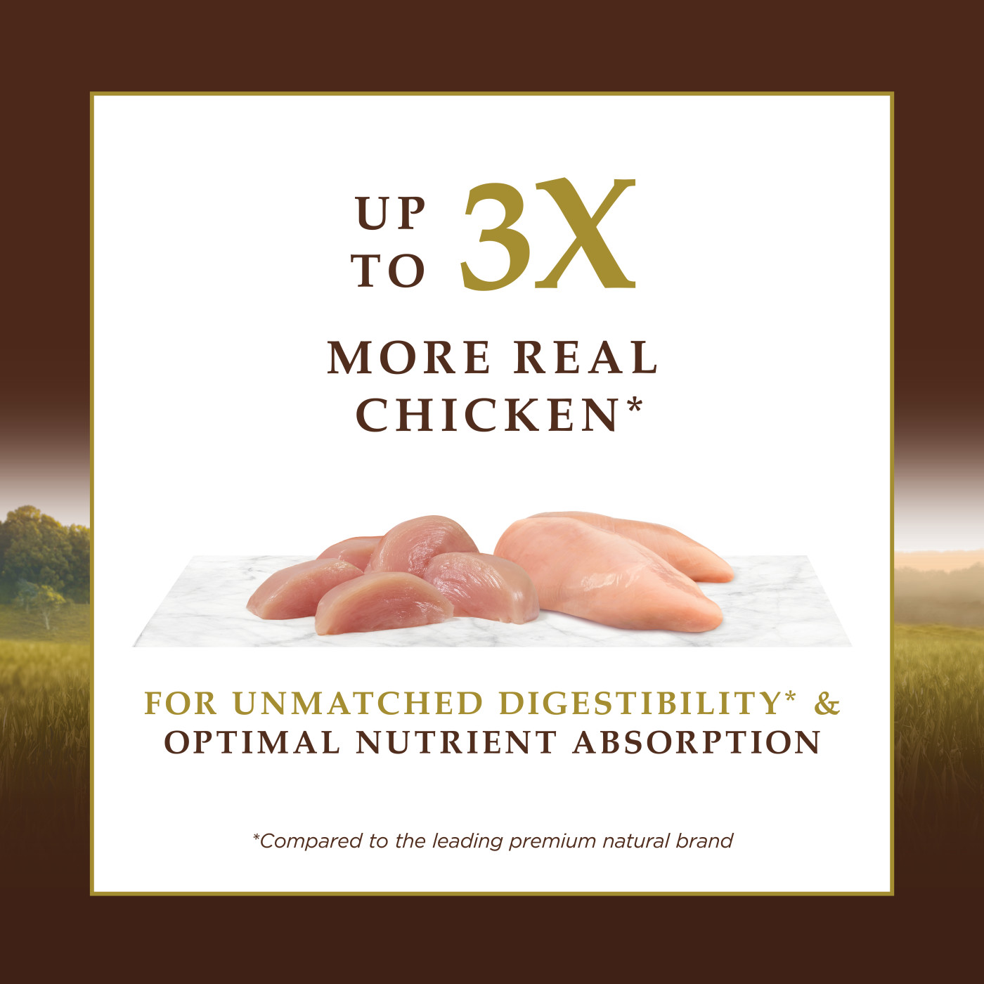 Instinct Ultimate Protein Cat 10lb Kibble Recipe with Real Chicken Dry Cat Food image 3