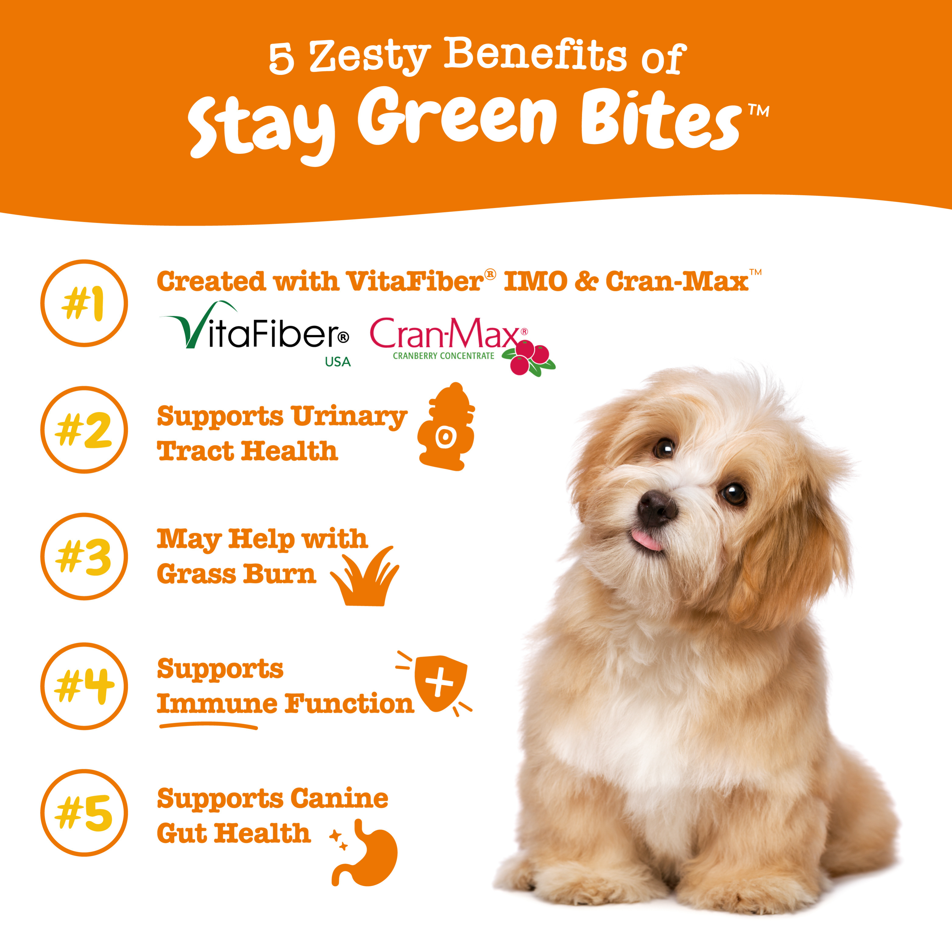 Zesty Paws 90ct Stay Green Bites Chicken Flavour Gut Health Supplement for Dogs image 4