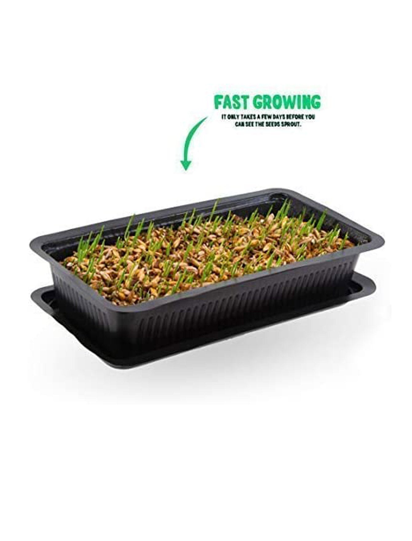 Vitakraft Cat 120g Cat Grass image 4
