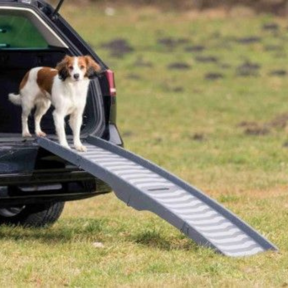 Trixie 3-way Plastic Foldable Plastic Ramp image 5