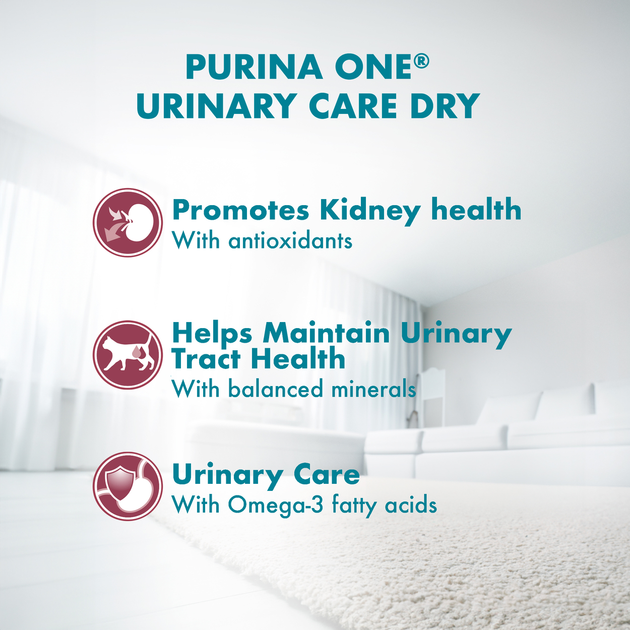 PURINA ONE Cat 1.2kg Urinary Care Chicken Dry Cat Food image 4