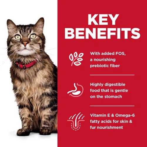 Hill's Science Diet Feline Adult Sensitive Stomach & Skin 3.18kg Dry Cat Food (EXP: 01 Nov 2026) image 3