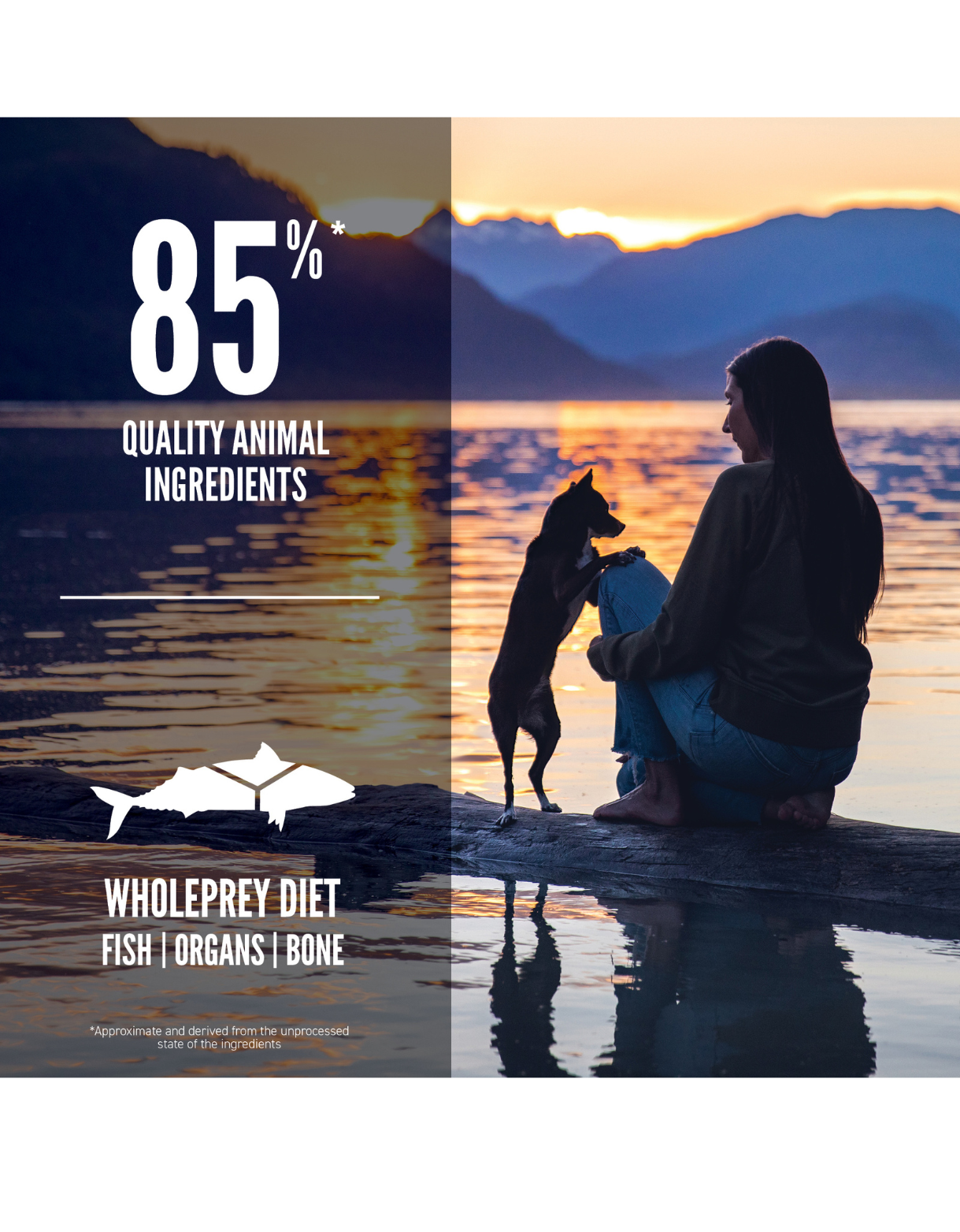 Orijen Dog 4.5kg Small Breed Marine Fish Dry Dog Food image 3