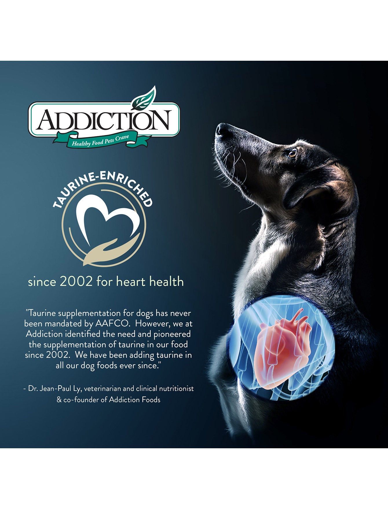 Addiction Dog 9kg Grain Free Le Lamb Dry Dog Food image 4