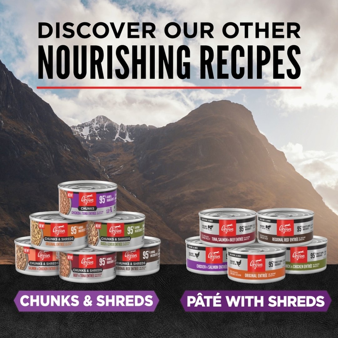 Orijen Cat 85g Chunks & Shreds Kitten Chicken & Tuna Entree Wet Cat Food image 4