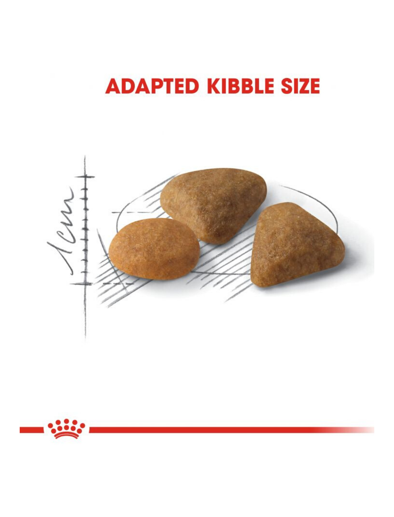 Royal Canin Cat 2kg Savour Exigent Dry Cat Food image 4