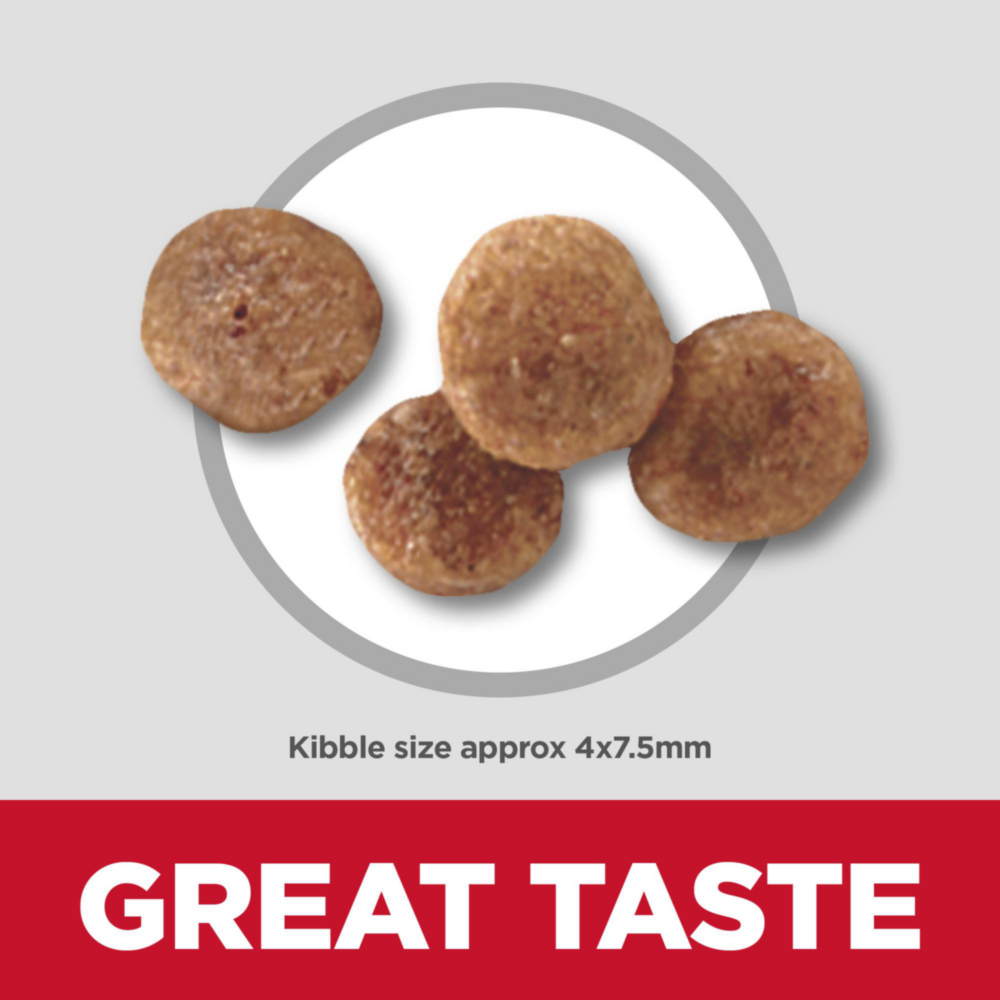 Hill'S Science Diet Canine Small & Mini Adult 11+ Chicken, Brown Rice, & Barley Recipe 2Kg Dry Dog Food image 4