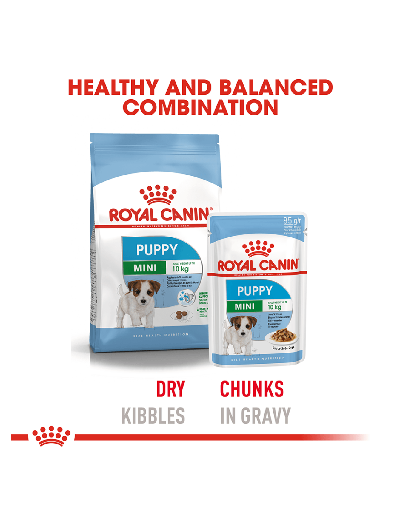 Royal Canin Dog Pouch 85g Mini Puppy Wet Dog Food image 2