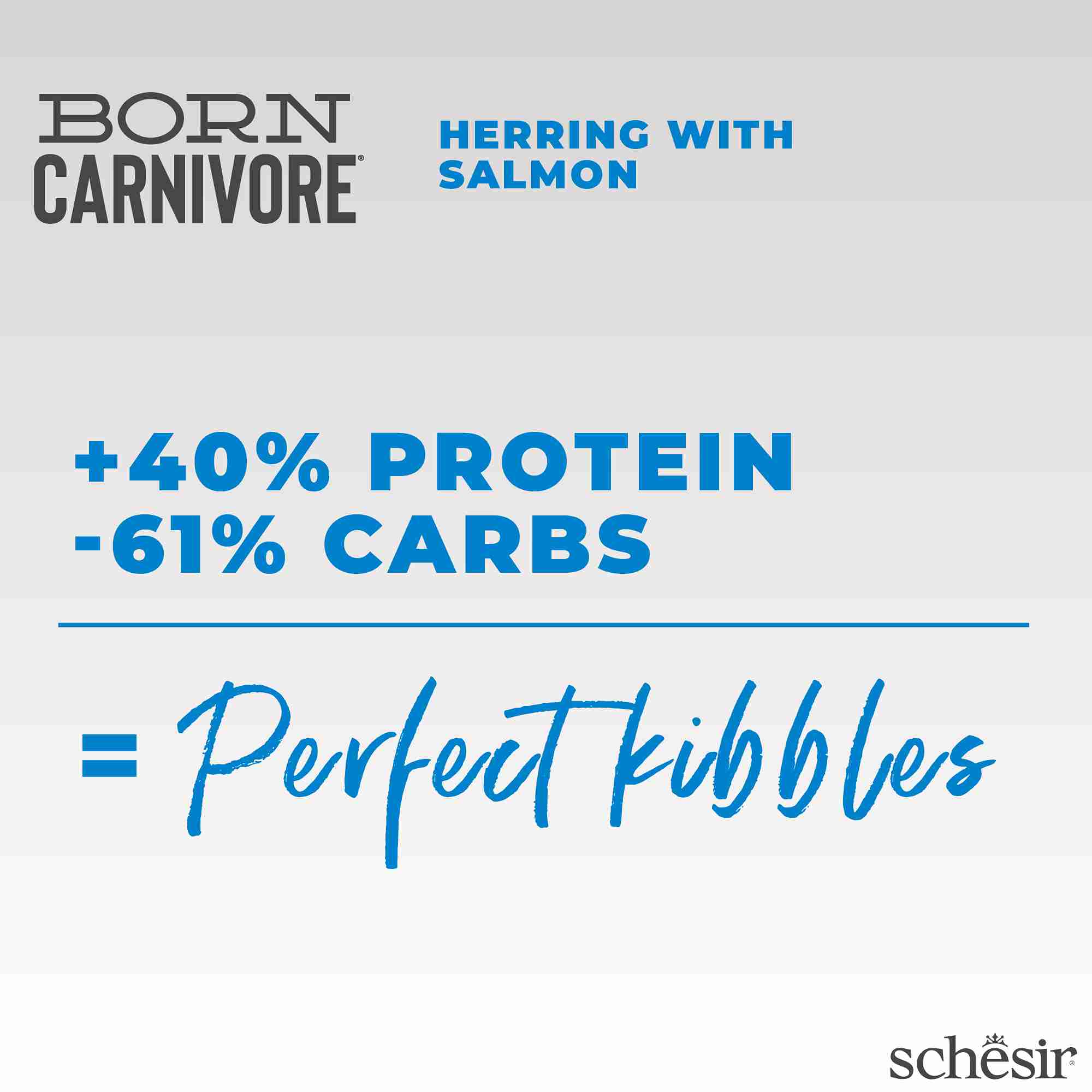 Schesir Cat 1.25kg Born Carnivore Herring with Salmon Baked Dry Recipe Dry Cat Food image 7