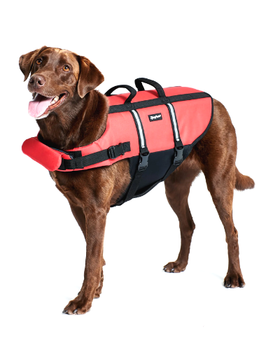 Zippypaws Adventure Life Jacket for Dogs - Red XX Small image 2