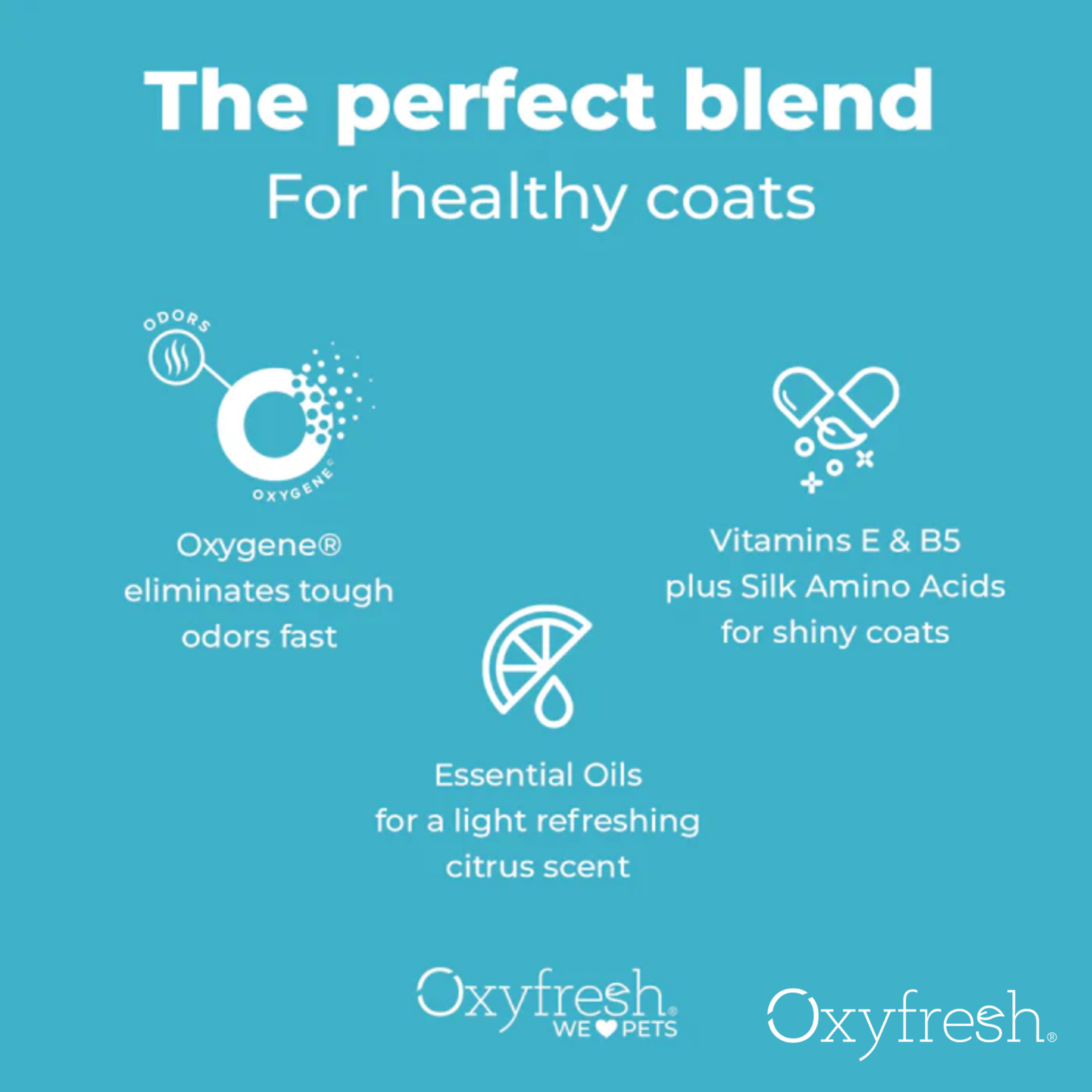 Oxyfresh 237ml (8oz) Advanced Pet Shampoo Sensitive Skin Formula for Dogs & Cats image 6