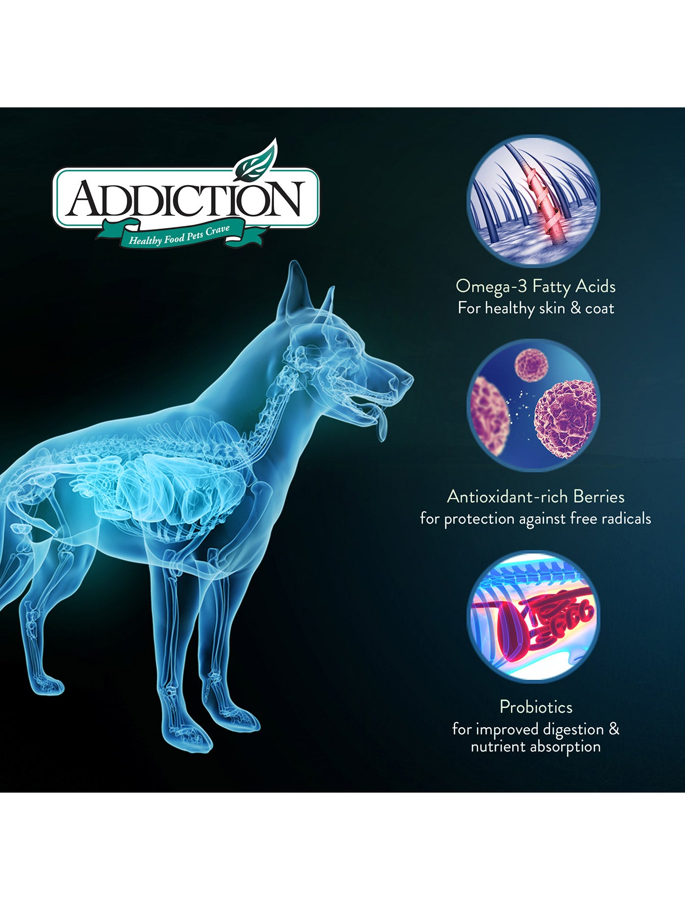 Addiction Dog 1.8kg Grain Free Le Lamb Dry Dog Food image 4