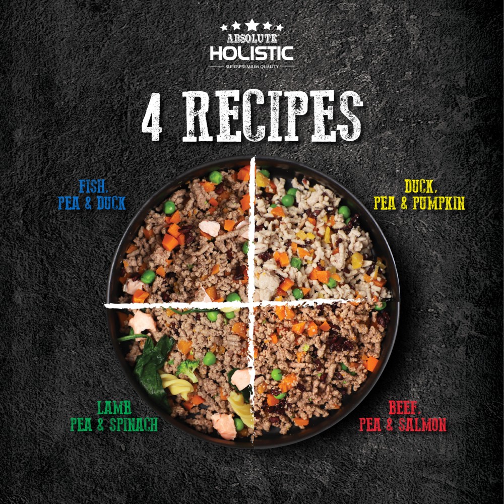 Absolute Holistic Home Cooked Recipe Trial Pack (125G X 3) Duck, Peas & Pumpkin Dog Food image 2